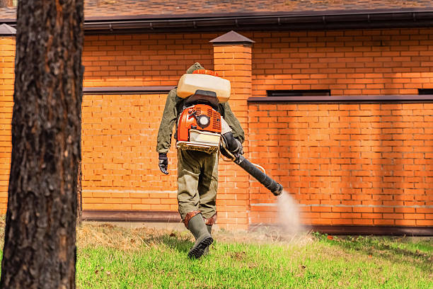 Trusted Mosquito Control service in Elbow Lake, MN - Nex Pest Control